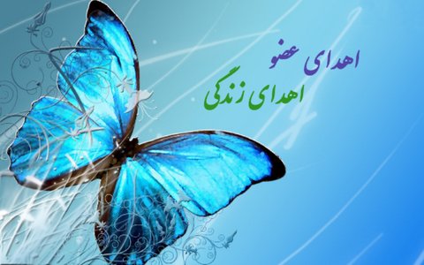 ۴۰۰ بیمار اصفهانی در انتظار پیوند عضو/امسال ۵۶بیمار نیازمند پیوند به زندگی دوباره بازگشتند