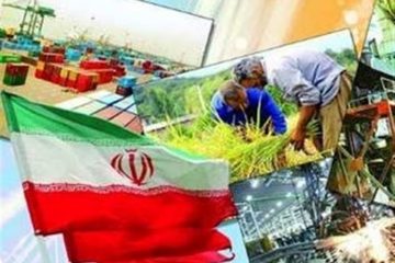 مهمترین دلیل ملموس نبودن آمارهای اشتغال، جنس شغل‌های ایجاد شده در بازار کار است