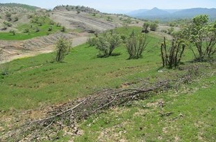 کاهش ۸۰ درصدی حریق در منابع طبیعی/ کمبود نیروی حفاظتی وجود دارد