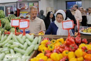 اجرای “طرح دست‌چین” در بازارهای کوثر بررسی می‌شود