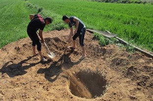 عمق چاه‌ها در کرج به ۲۶۰ متر رسید/ قطع درختان در تضاد با توسعه پایدار است