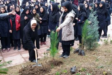 ۵۰۰ هزار اصله نهال رایگان در هفته منابع طبیعی در البرز کاشته می‌شود/فعالیت ۲۵ هزار «همیار طبیعت»