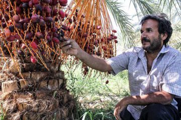 پرداخت ۲۰۰۰ میلیارد تومان تسهیلات اشتغال روستایی