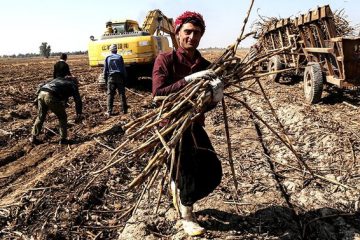 پرداخت به موقع حقوق کارگران هفت‌تپه