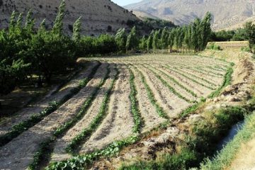 آخر هفته ایلامی‌ها اینجا می‌گذرد