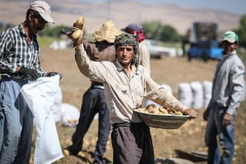 شناسایی ۱۰۰ روستای بدون بیکار در کشور