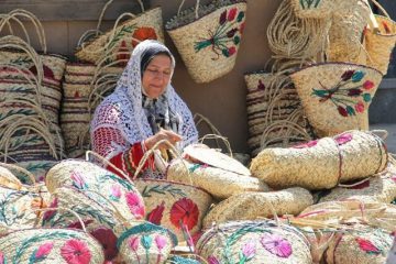 ۶۰ هزار نفر در روستاها شاغل شدند