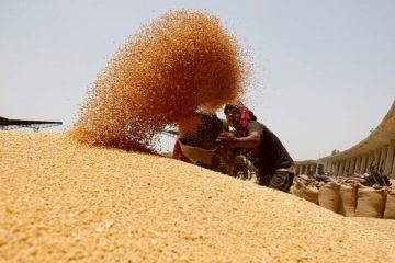 بدهی ۴۰همتی دولت به گندمکاران؛ وعده‌هایی که عملیاتی نمی‌شود