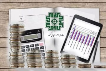 کشف فرار مالیاتی ۵۳ میلیارد تومانی در حوزه فرآورده‌های غذایی