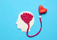 بایدها و نبایدهای سواد رابطه