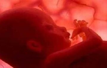 متابولیسم، تپش‌سنج طبیعی رشد جنین