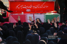 وداع با لاله‌های زهرایی