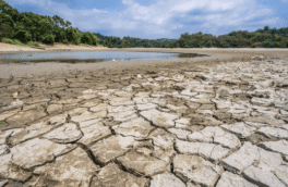 دلایل عدم بارش باران در پاییز اعلام شد