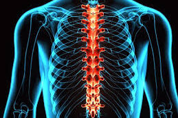 تکنولوژی و دردهای ستون فقرات