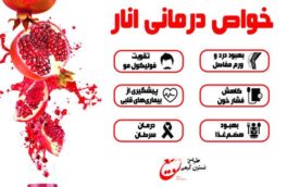 خواص درمانی انار