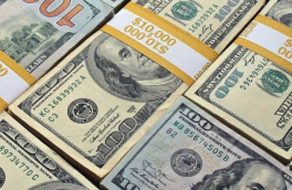 نماینده مجلس: ۹۶ میلیارد دلار ارز صادراتی به کشور برنگشته است