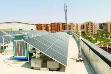 رویش زندگی برفراز شهر خاکستری