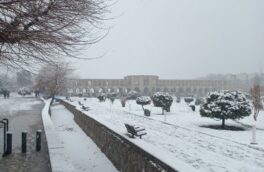 برف نصف جهان را سفیدپوش کرد