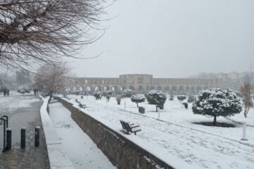 برف نصف جهان را سفیدپوش کرد