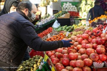 قیمت هرکیلو هندوانه شب چله به ۴۰ هزارتومان رسید