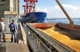 آزاد شدن واردات کالاهای اساسی از استان‌های مرزی