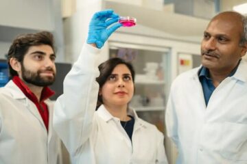 محقق ایرانی روش نوینی برای درمان زخم و تولید گوشت ابداع کرد