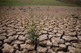 کسری ۸۰ درصدی بارندگی در برخی استان‌ها