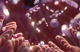 علائم گوارشی را ساده نگیرید؛ هر خون‌ریزی هموروئید نیست