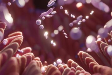 علائم گوارشی را ساده نگیرید؛ هر خون‌ریزی هموروئید نیست