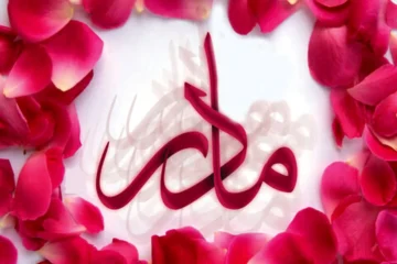 در ستایش مقام مادر