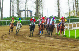 ۲۰۱ اسب آماده تاخت در هفته پنجم کورس گنبد کاووس