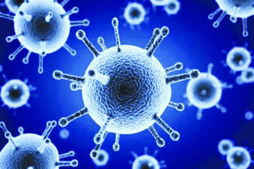 جایی برای هراس از آنفلوآنزا نیست