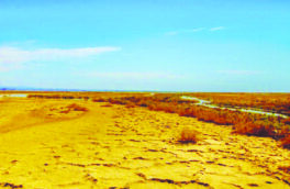 زنگ خطر برای آینده «نصف جهان»