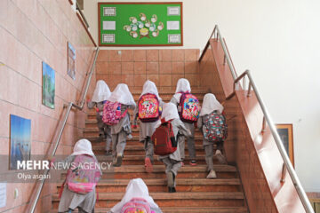 نقش حیاتی ویتامین D در رشد استخوان‌های کودکان مدرسه‌ای