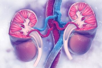 پیشگیری از بیماری‌های کلیوی با چکاپ منظم