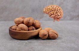 تاثیر مصرف گردو بر عملکرد مغز و بهبود سلامت آن