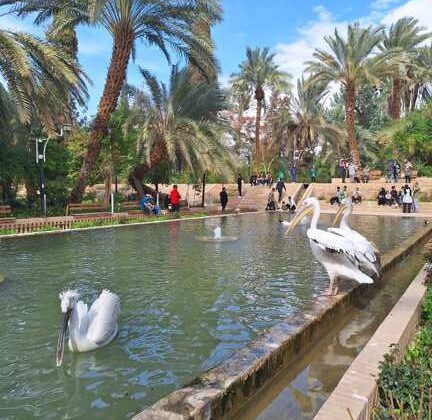 باغ گلشن طبس؛ سفری به قلب بهشت کویری