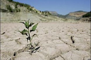 ۹۷ درصد خراسان شمالی درگیر انواع مختلف خشک‌سالی است