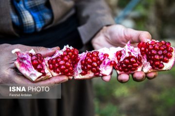 جشنواره‌ انار؛ فرصتی برای معرفی پتانسیل‌های گردشگری منطقه “اورامان”