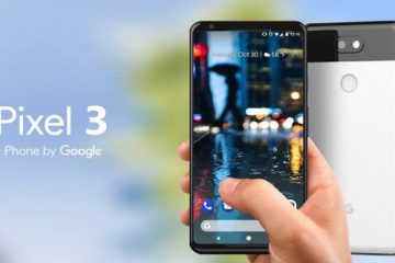 به احتمال فراوان Google Pixel 3 XL از ویژگی ناچ بهره خواهد برد