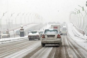 عرضه محلول یخ‌زدایی که موجب سبزتر شدن درختان می‌شود